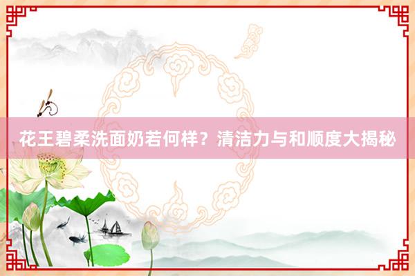 花王碧柔洗面奶若何样？清洁力与和顺度大揭秘
