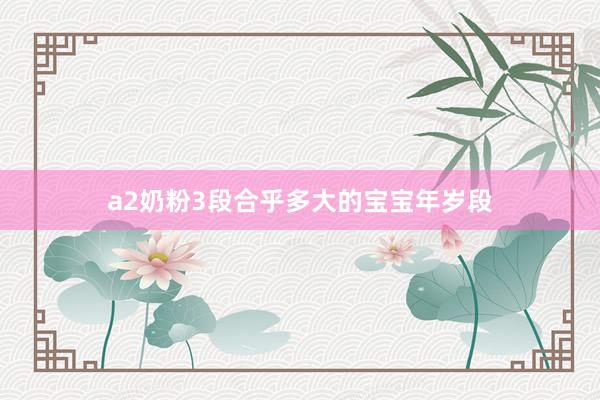 a2奶粉3段合乎多大的宝宝年岁段