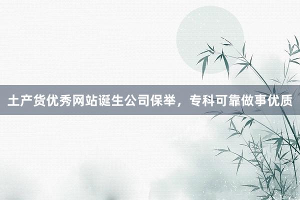 土产货优秀网站诞生公司保举，专科可靠做事优质
