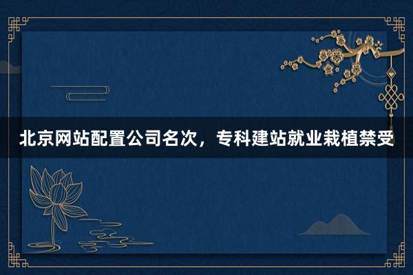 北京网站配置公司名次，专科建站就业栽植禁受