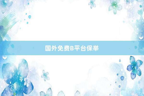 国外免费B平台保举