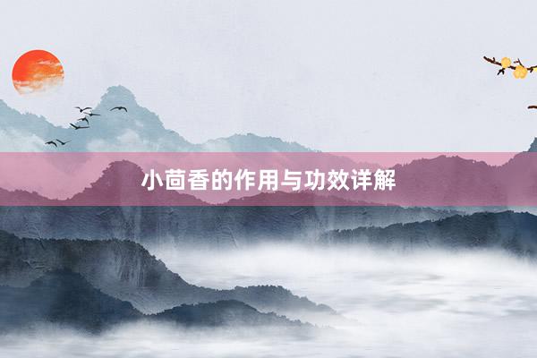 小茴香的作用与功效详解