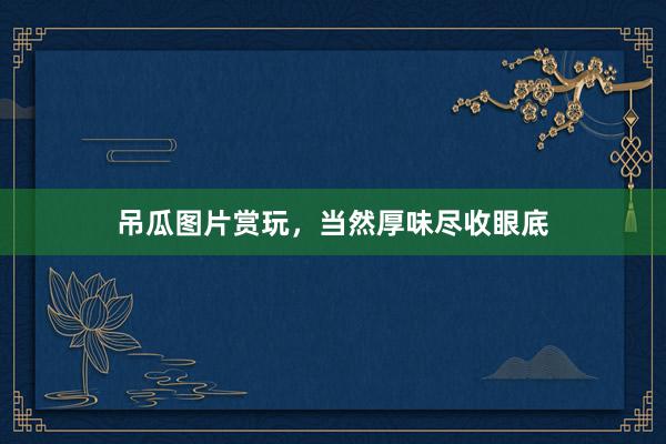 吊瓜图片赏玩，当然厚味尽收眼底